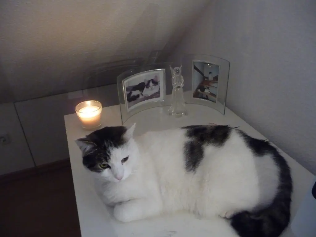 Andachtsbild von Susanne mit Cedric im Herzen 