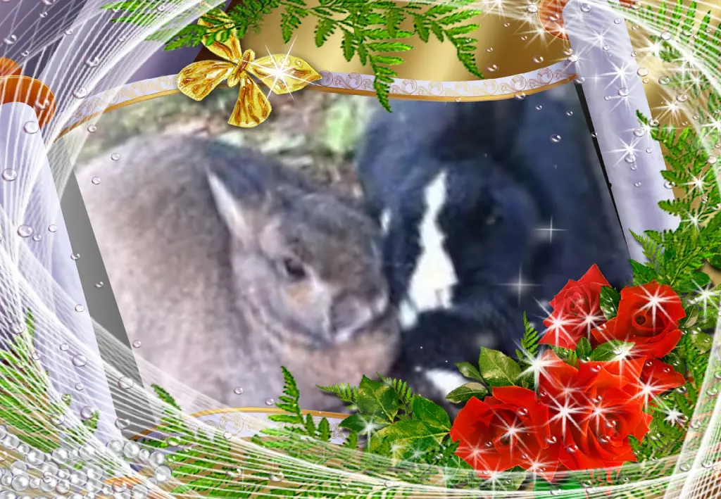 Andachtsbild von Klaudia mit Misiu❤❤❤Ganz Tief im Herzen❤