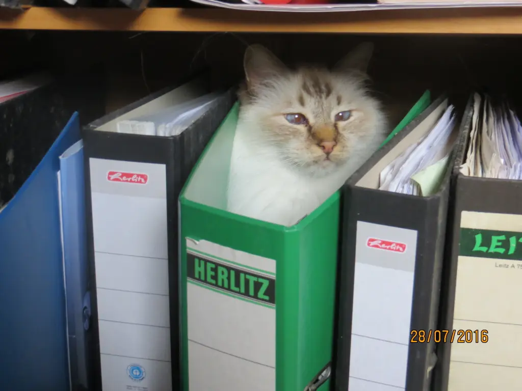 Andachtsbild von Shiva