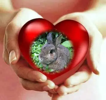 Andachtsbild von ❤️❤️❤️