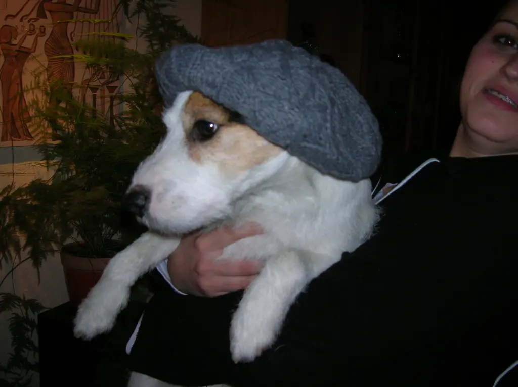 Andachtsbild von Kerstin mit Gismo im Herzen