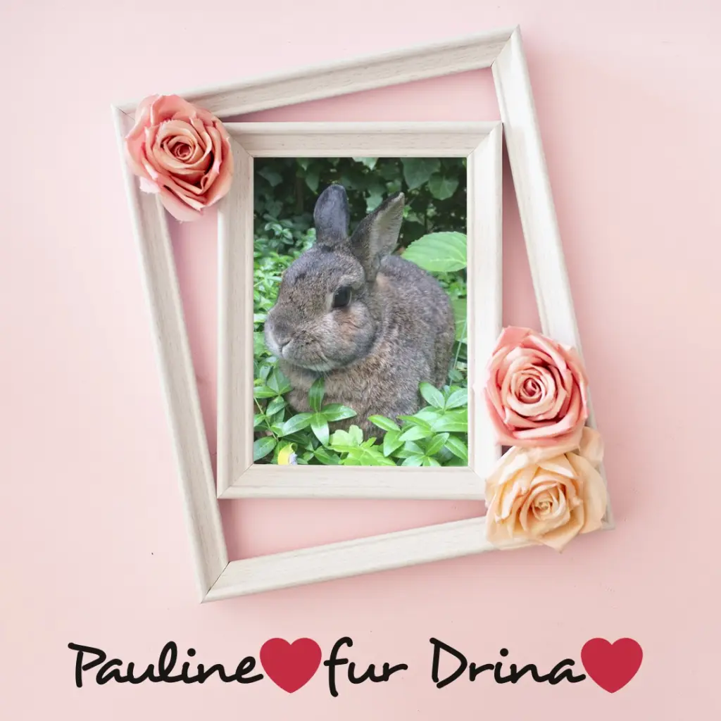 Andachtsbild von ❤️❤️❤️