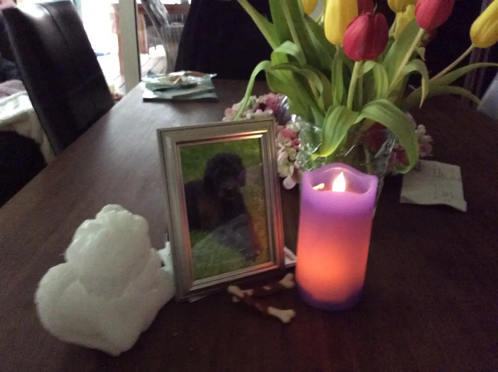 Andachtsbild von Heidi