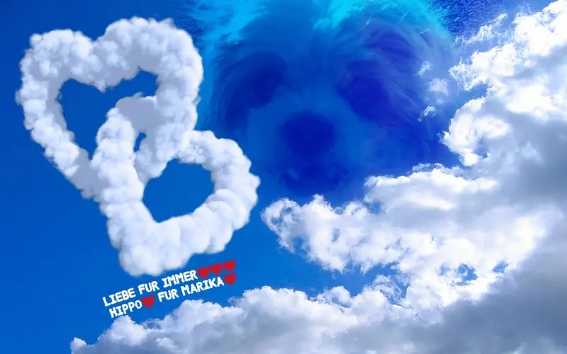 Andachtsbild von Marika mit Balou und Hippo im Herzen