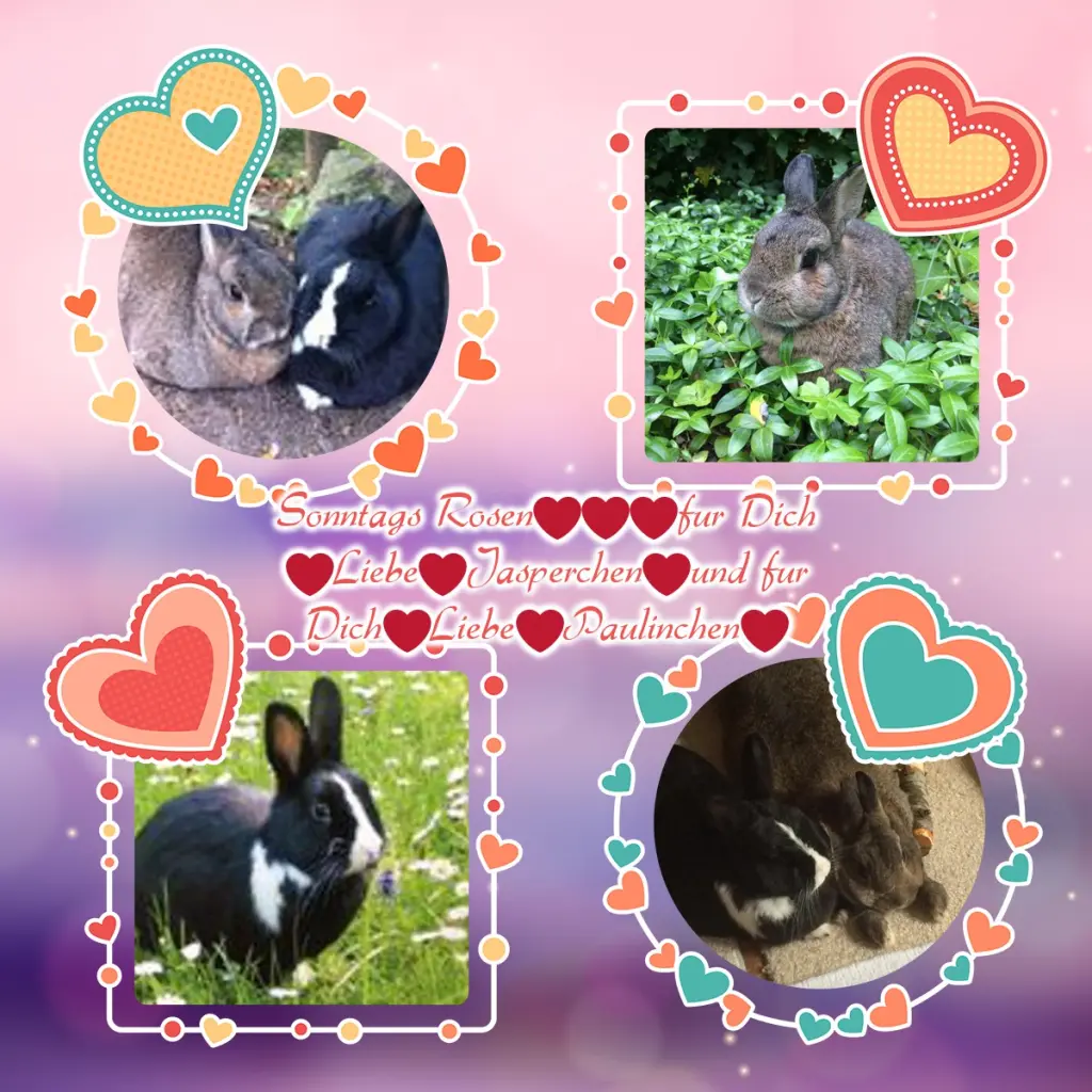 Andachtsbild von ❤️❤️❤️