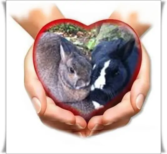 Andachtsbild von ❤️❤️❤️