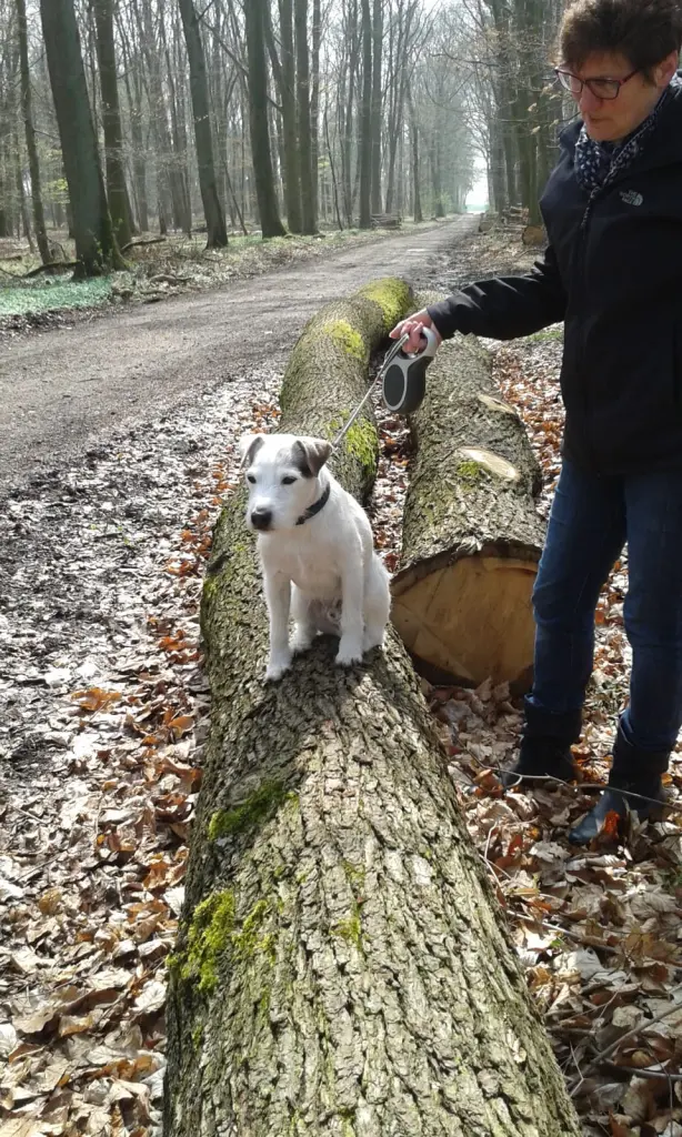 Andachtsbild von Kerstin mit  Gismo  im Herzen