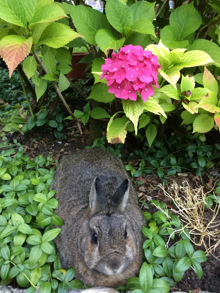 Andachtsbild von 8 Monate ohne dich