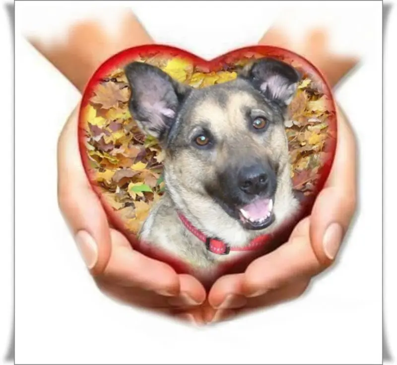 Andachtsbild von Gabriele mit Luna