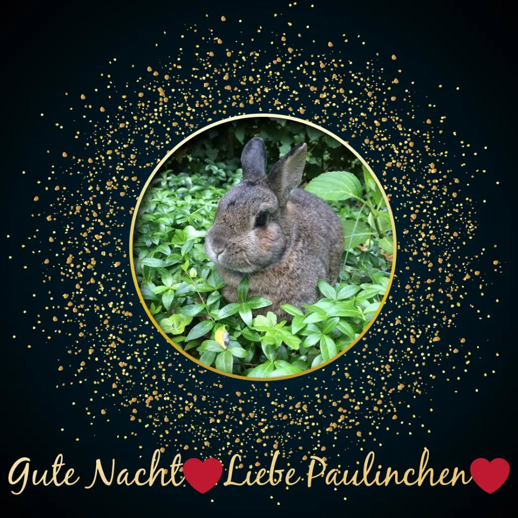 Andachtsbild von ❤️❤️❤️