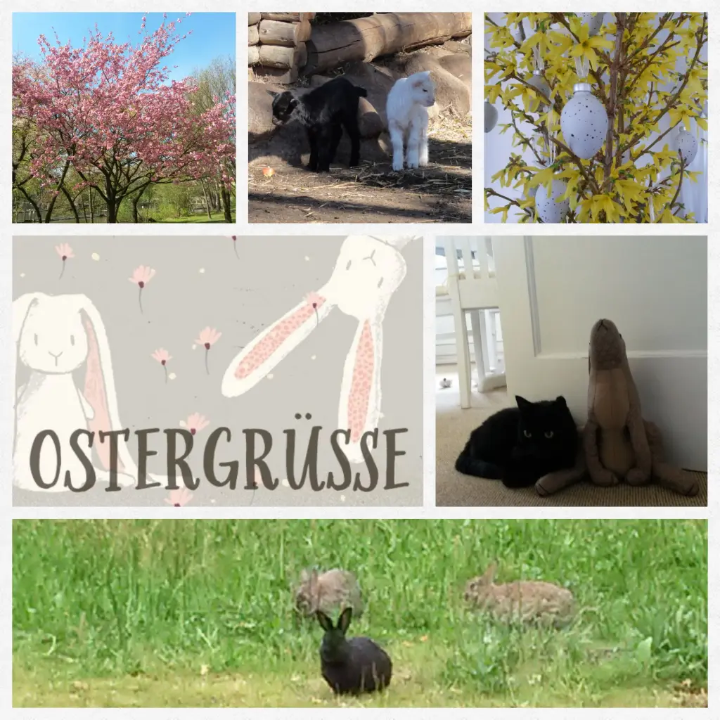 Andachtsbild von Anja mit Joy im Herzen ❤