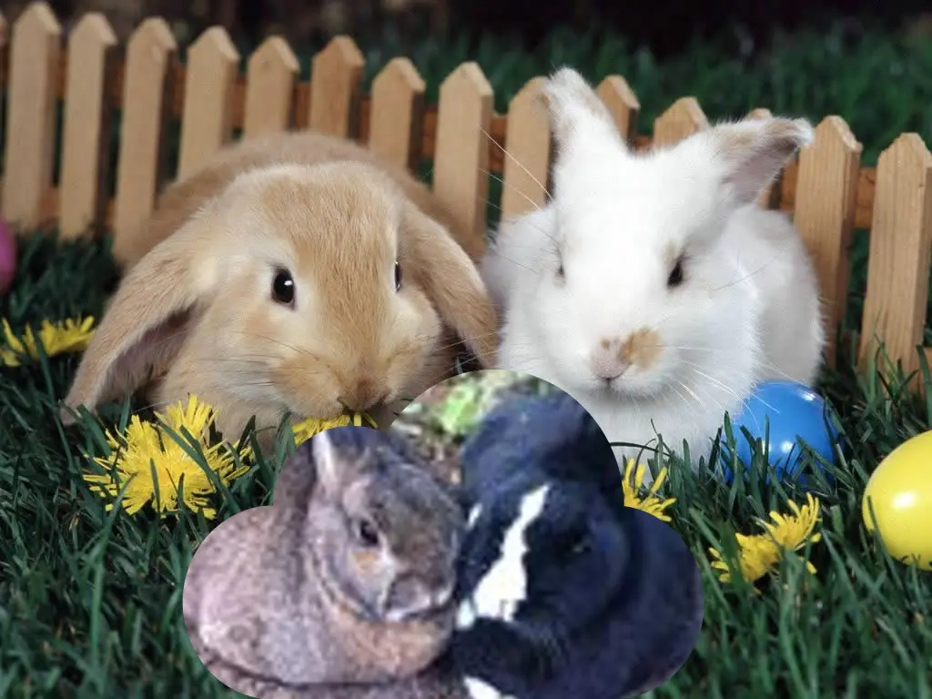 Andachtsbild von ❤️❤️❤️