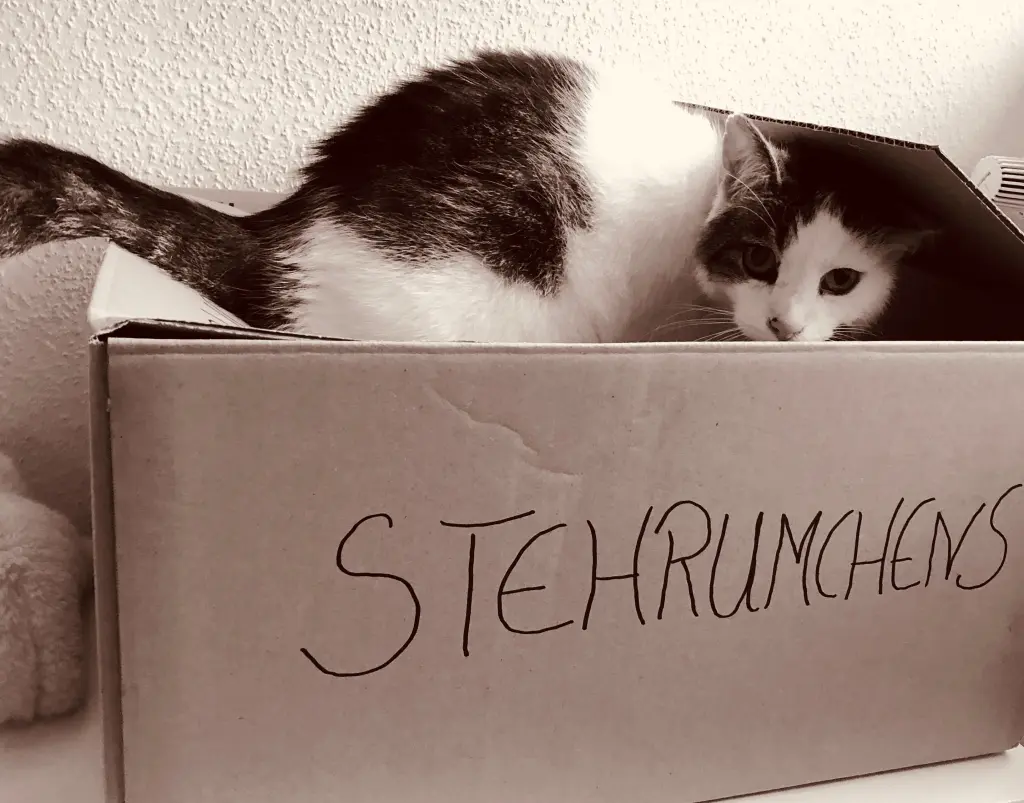 Andachtsbild von Susanne mit Cedric im Herzen