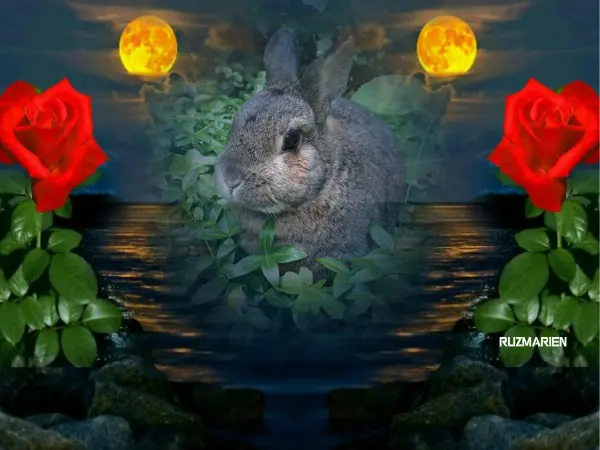 Andachtsbild von ❤️❤️❤️