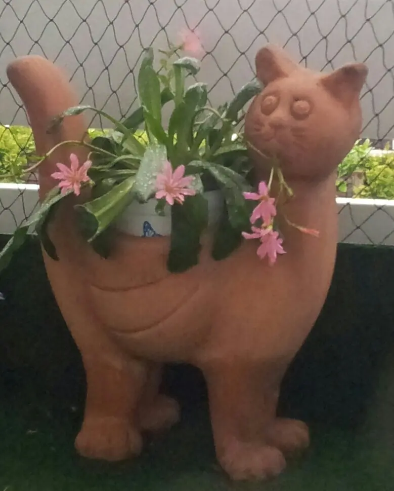 Andachtsbild von Ilse mit Jule, Gismo, Fee und Minna tief im Herzen