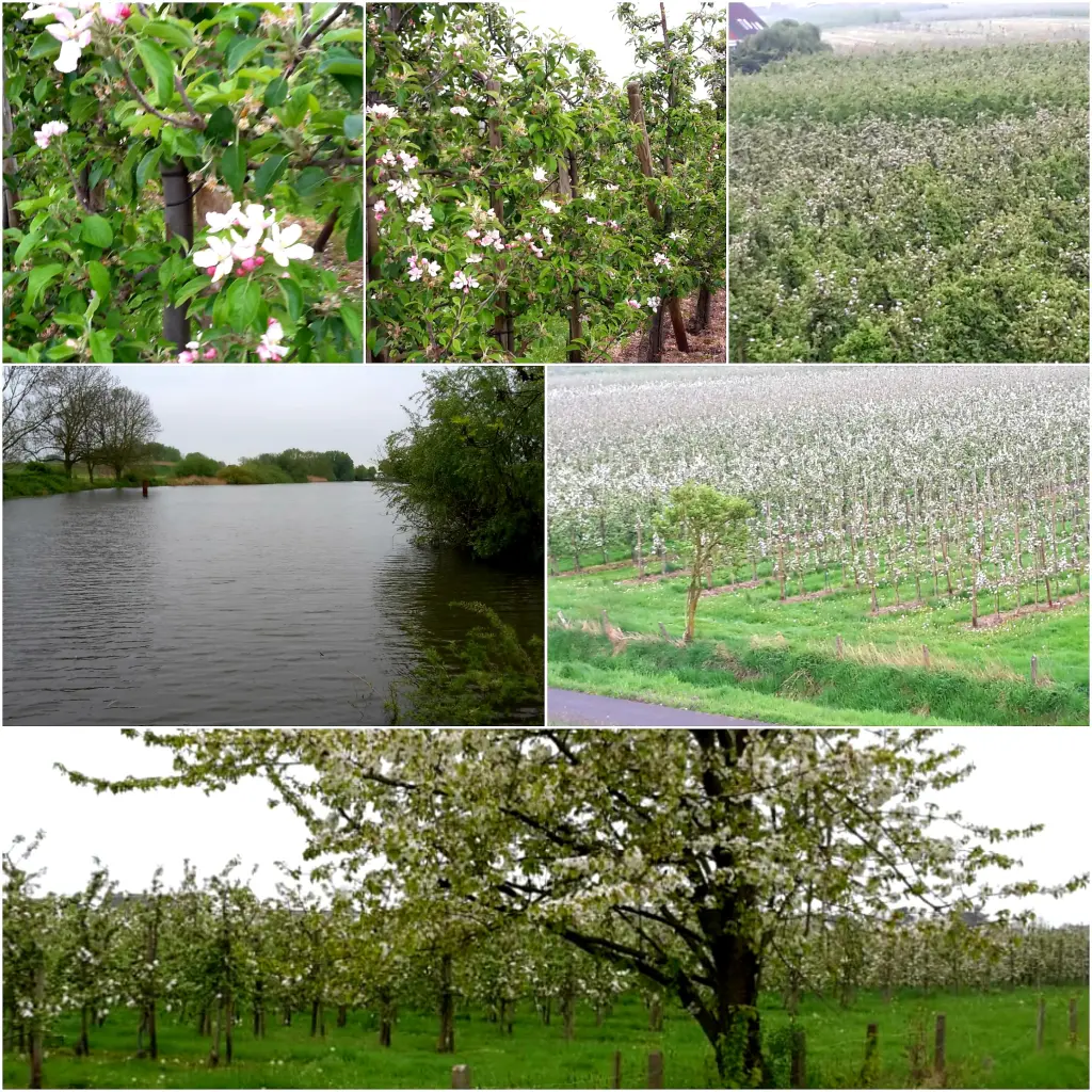 Andachtsbild von Eike und Edeltraud ♥️