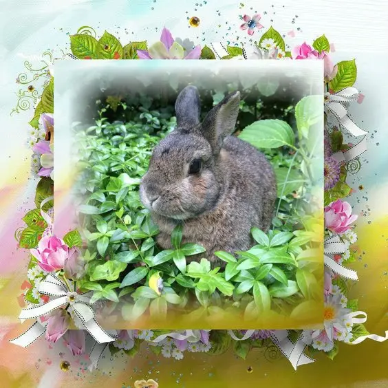 Andachtsbild von ❤️❤️❤️