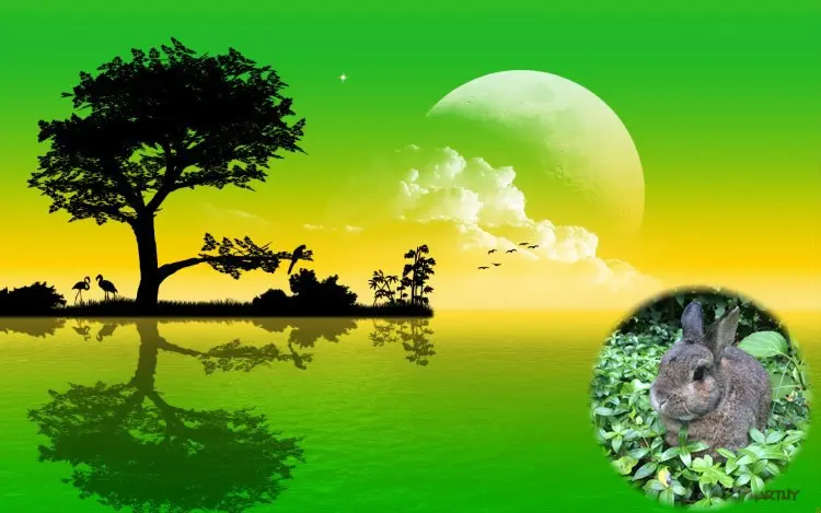 Andachtsbild von Unbekannt