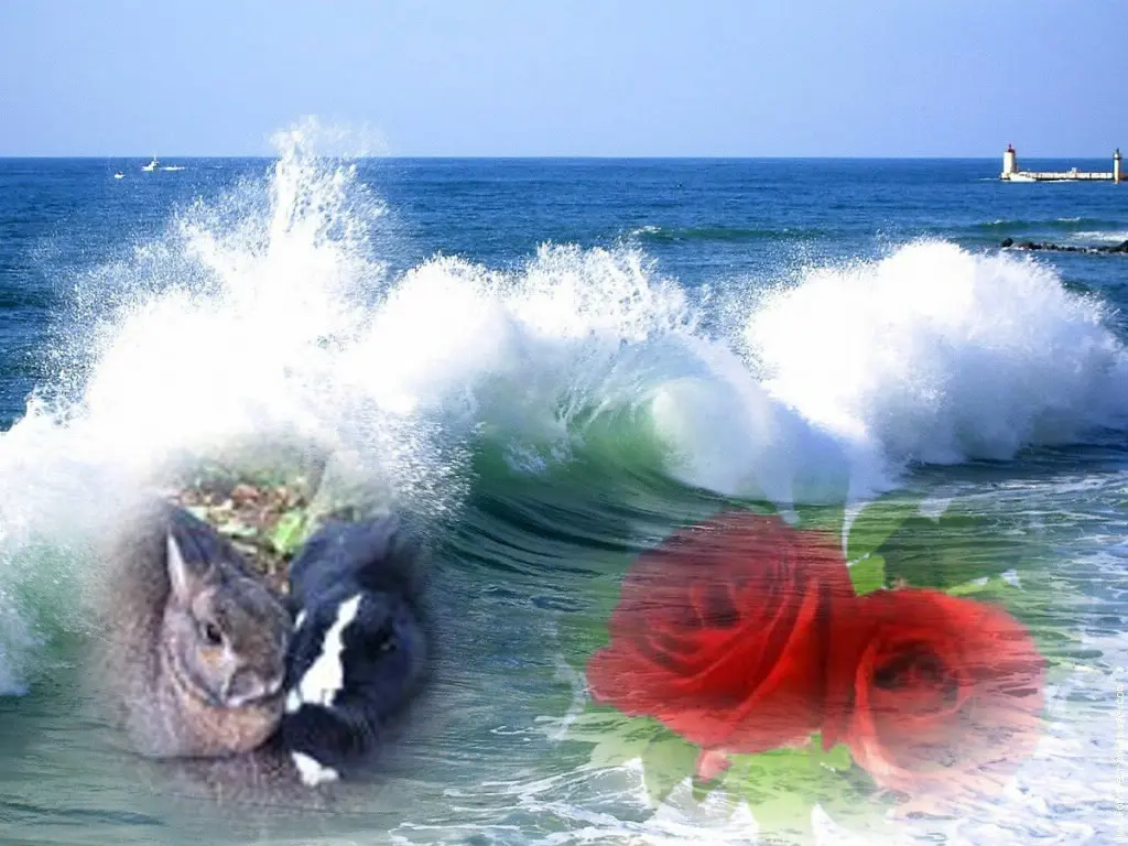 Andachtsbild von ❤️❤️❤️