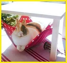 Andachtsbild von Jutta mit Purzel tief im Herzen ✟ 08.05.2016