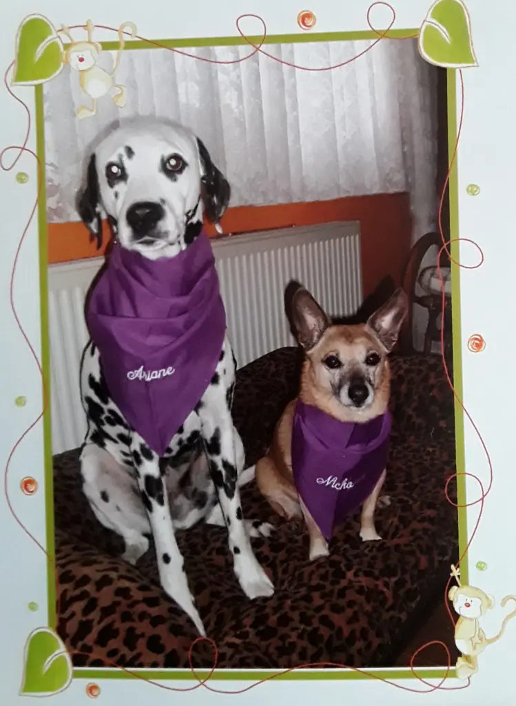 Andachtsbild von Michaela mit Nicko und Ariane ganz tief im ❤