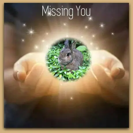 Andachtsbild von ❤️❤️❤️