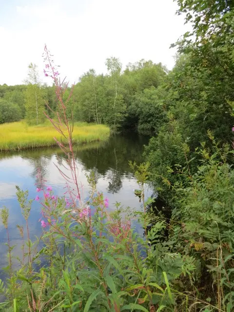 Andachtsbild von Uschi mit Seelenkatzen Jojo und Merlin