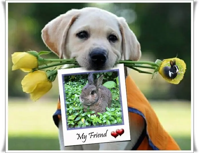 Andachtsbild von ❤️❤️❤️