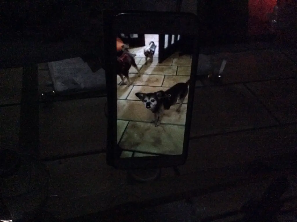 Andachtsbild von Heidi