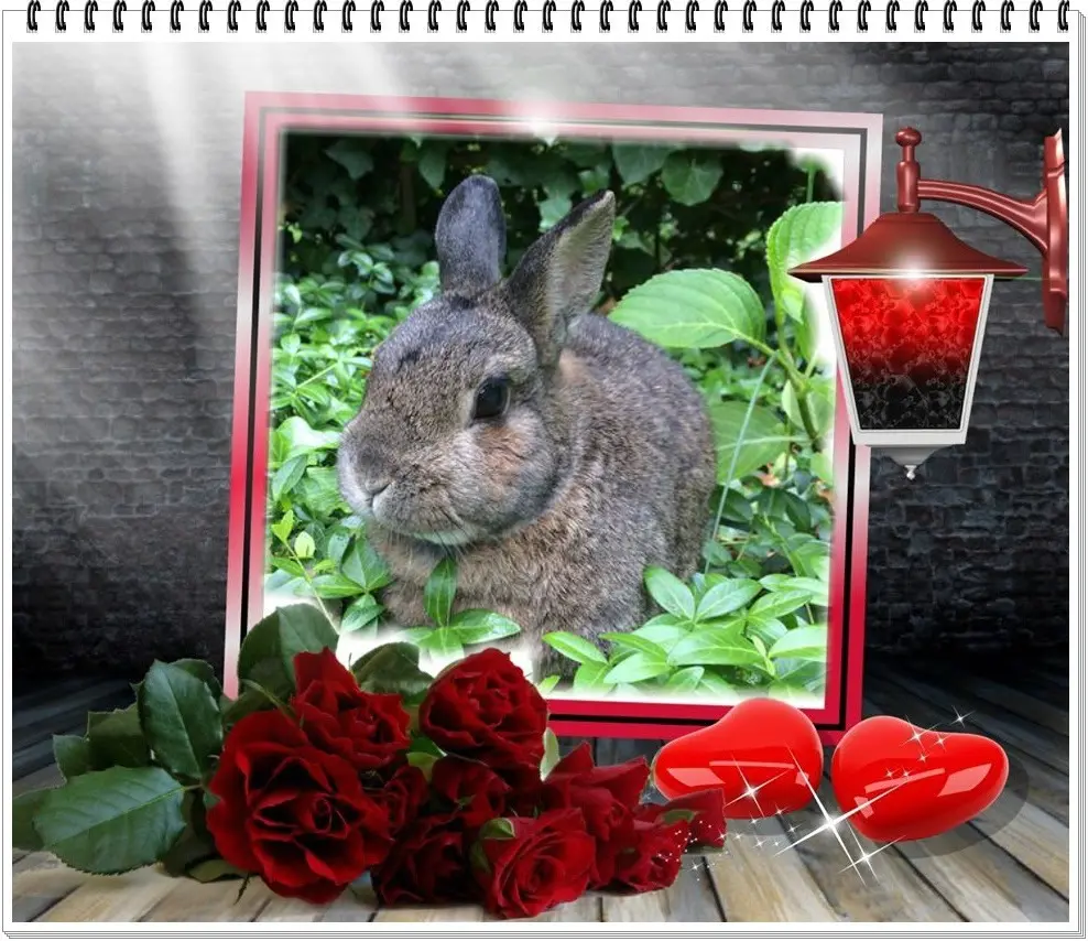 Andachtsbild von ❤️❤️❤️