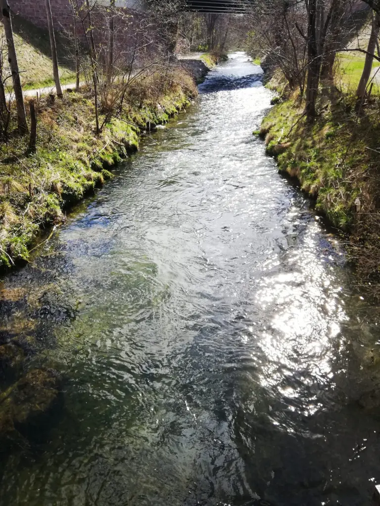 Andachtsbild von Eike und Edeltraud mit Mulle Miezi und Jonny tief im Herzen ♥️