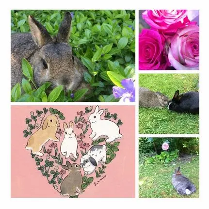 Andachtsbild von Happy Birthday Pauline