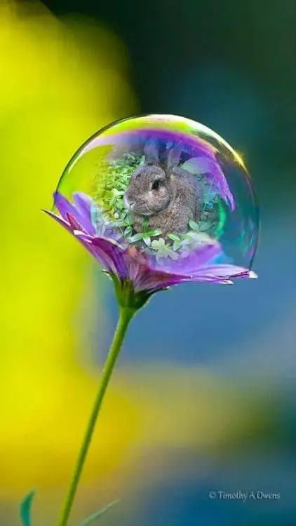 Andachtsbild von ❤️❤️❤️