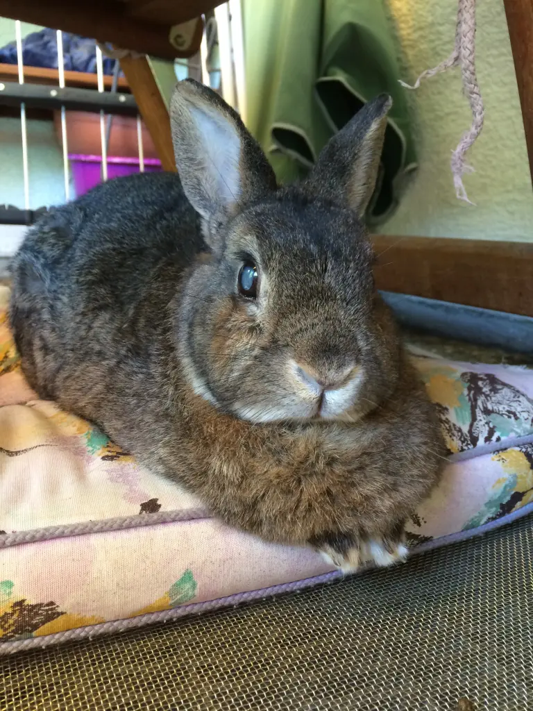 Andachtsbild von In liebevoller Erinnerung