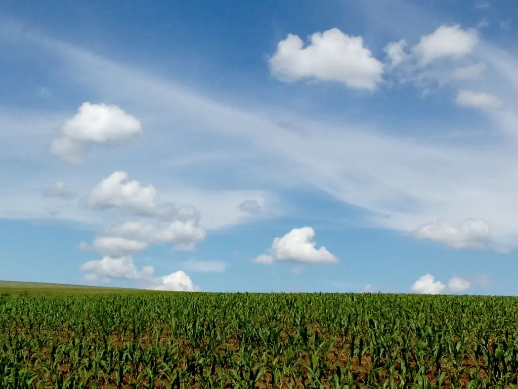 Andachtsbild von Michaela