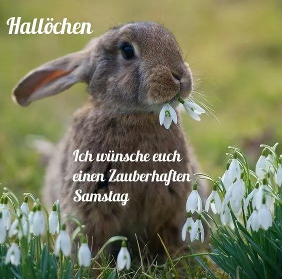 Andachtsbild von Brigitte mit Nelly, Benny und Axel im Herzen