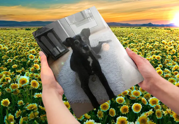 Andachtsbild von Unbekannt