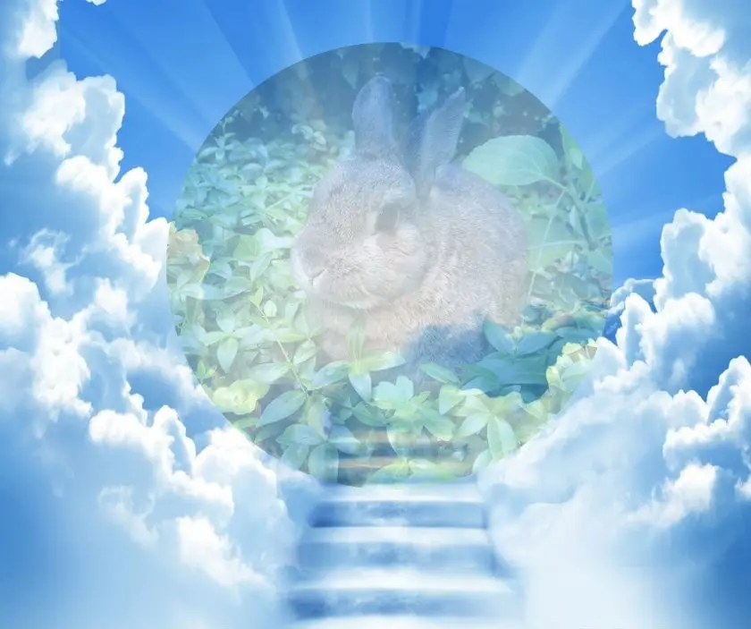 Andachtsbild von ❤️❤️❤️