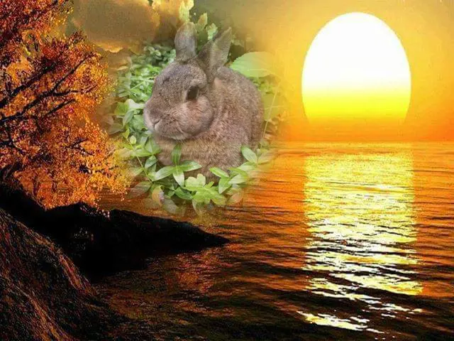 Andachtsbild von ❤️❤️❤️