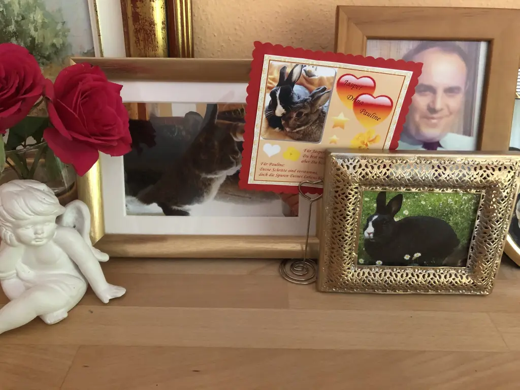 Andachtsbild von Sternchen-Treffen-Rosen