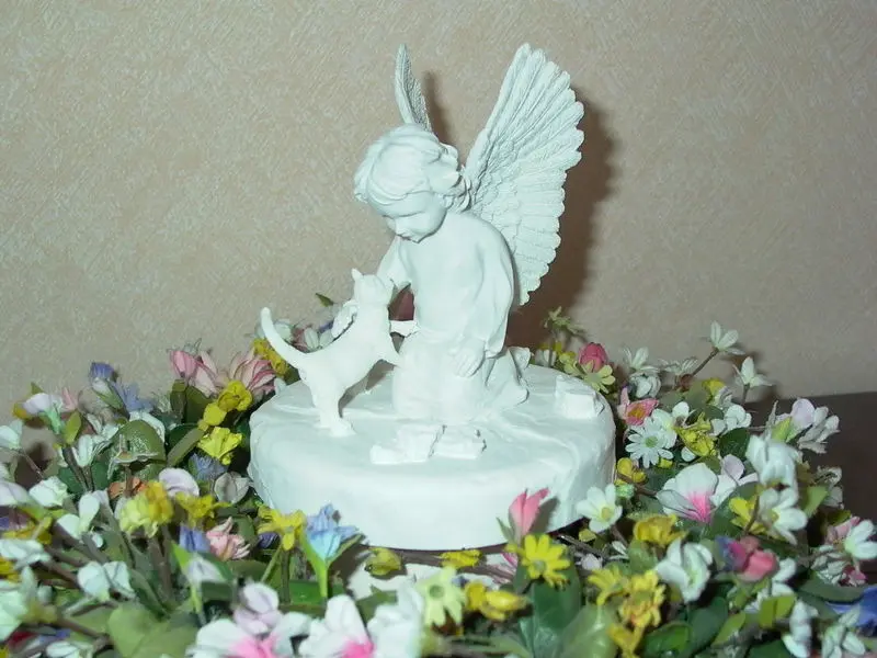 Andachtsbild von Hans u. Sibylle mit Momo † 13.11.2017