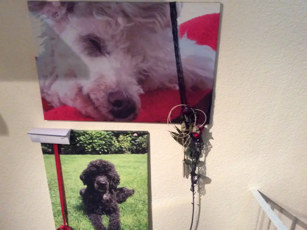 Andachtsbild von Heidi 