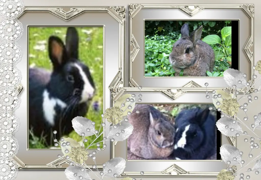 Andachtsbild von ❤️❤️❤️