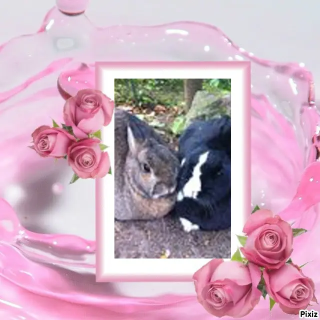 Andachtsbild von ❤️❤️❤️