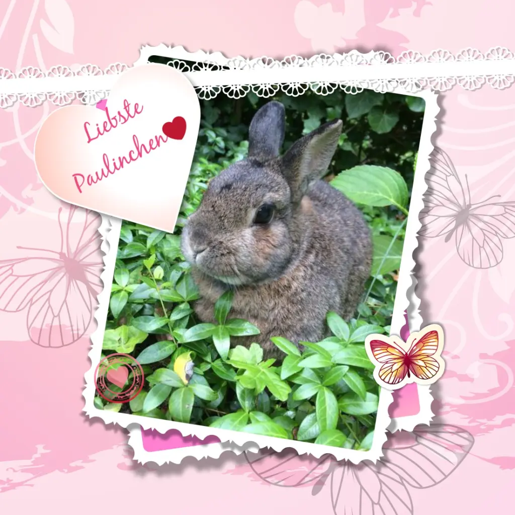 Andachtsbild von ❤️❤️❤️