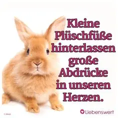 Andachtsbild von Brigitte mit Nelly, Benny und Axel im Herzen