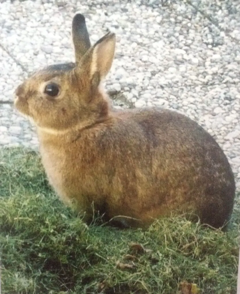 Andachtsbild von Heute und morgen 