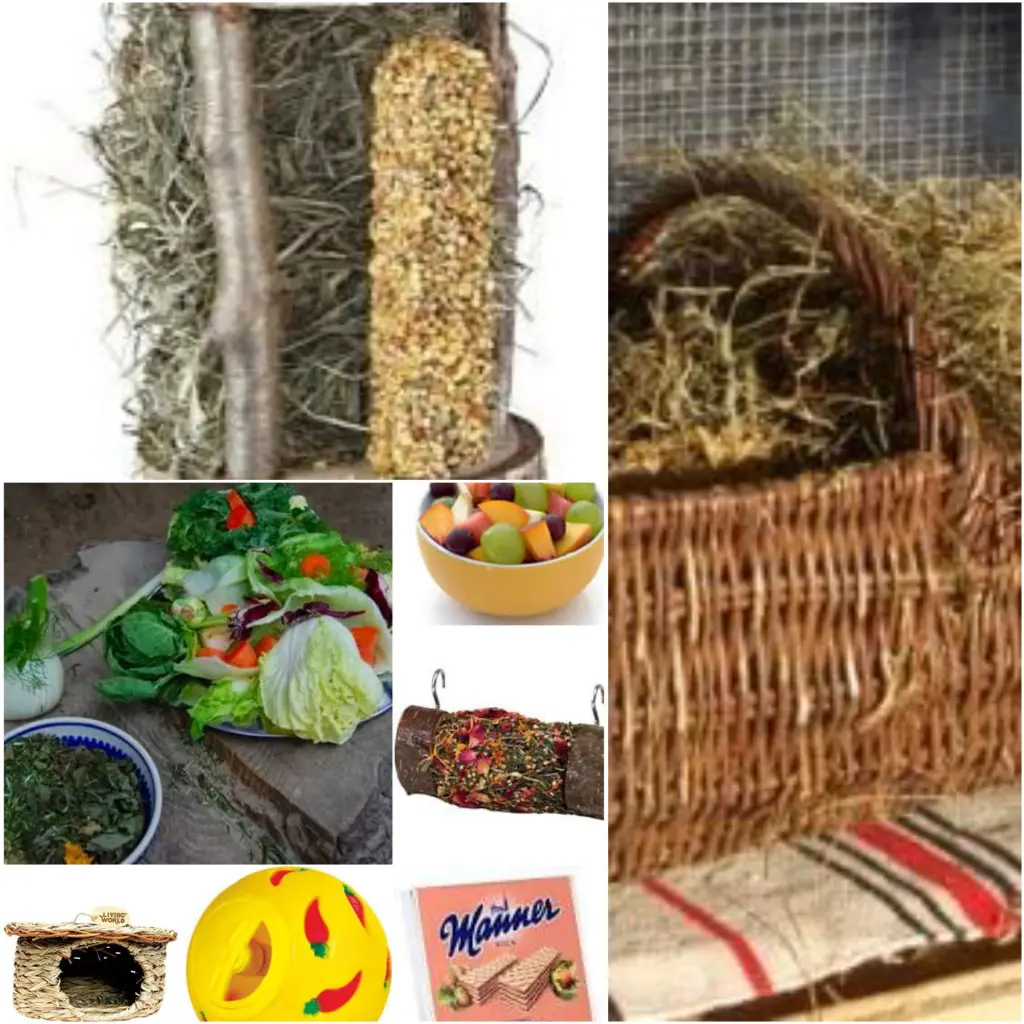 Andachtsbild von Eike und Edeltraud mit Mulle Miezi und Jonny tief im Herzen ♥️