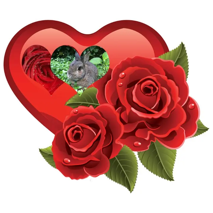 Andachtsbild von ❤️❤️❤️