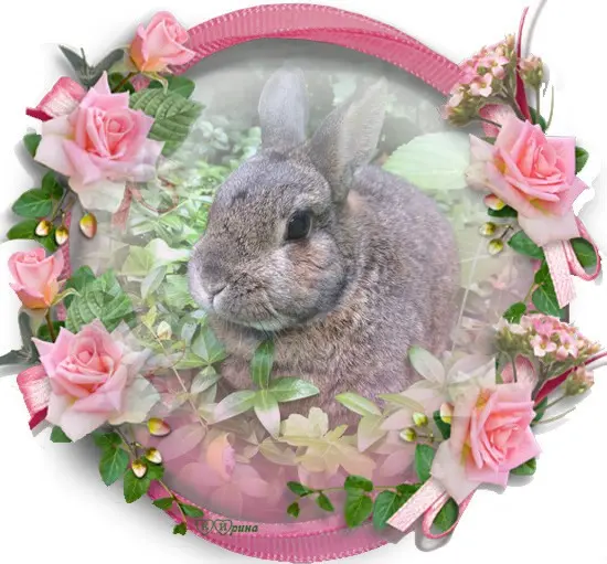 Andachtsbild von ❤️❤️❤️